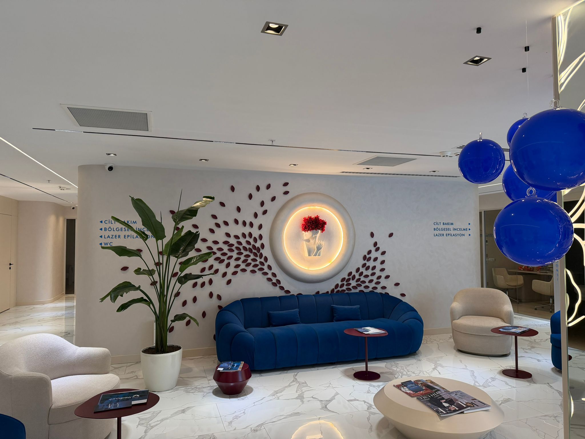 Orta kısmı gözüken resim